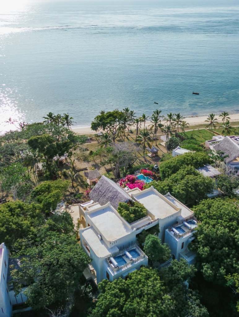 SnapInsta.to_573067923_18058477577634851_6357175076788353071_n