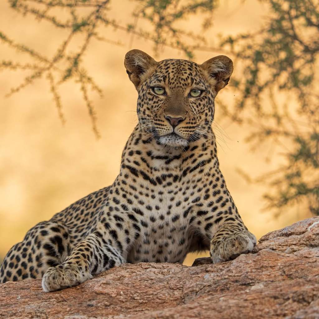 SnapInsta.to_589574204_18062506880634851_7940350336776132520_n