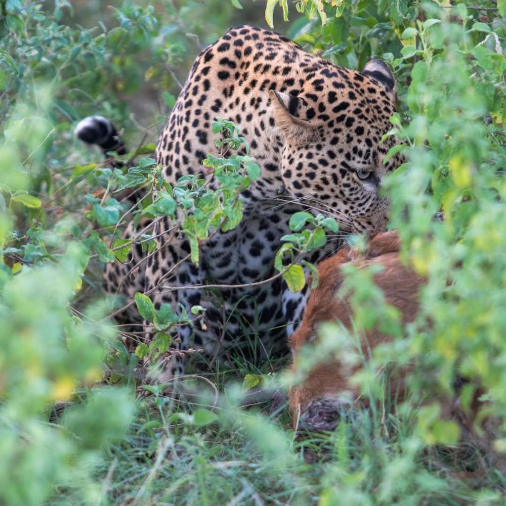 SnapInsta.to_597867419_18062506934634851_6179463671768911853_n