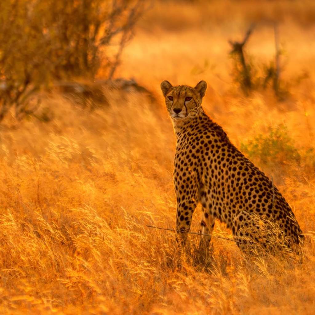 SnapInsta.to_598550160_18062506943634851_6373052620341072058_n